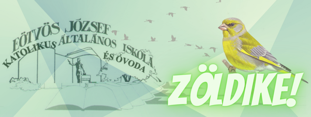 zoldike 1