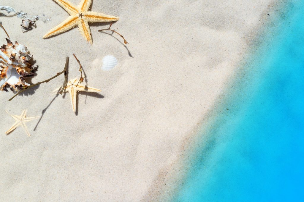 beach, sea, starfish, mussels, sand, vacations, summer, relaxation, relax, travel, leisure, coast, water, tropical, paradise, turquoise, exotic, island, nature, beach, beach, beach, summer, summer, summer, summer, summer, travel