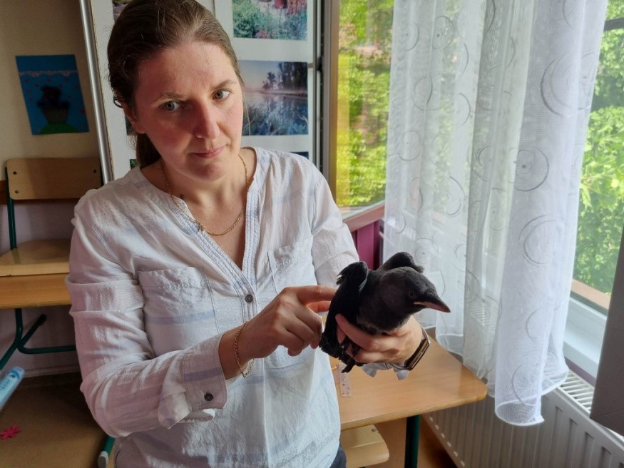 Csokamentes Az Eotvos Iskolaban 001